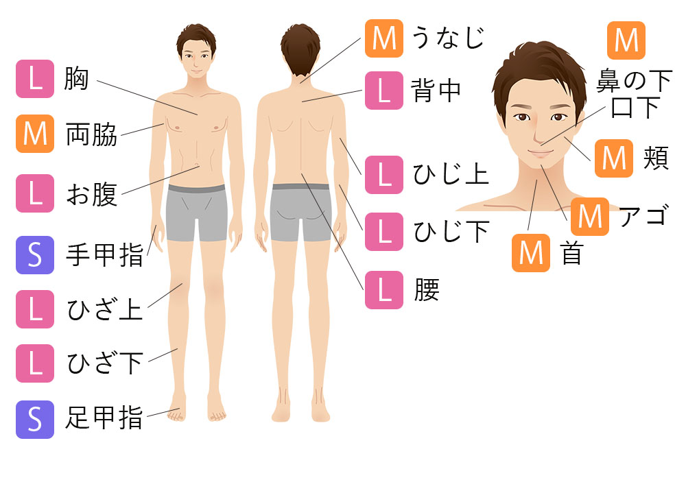 男性部位