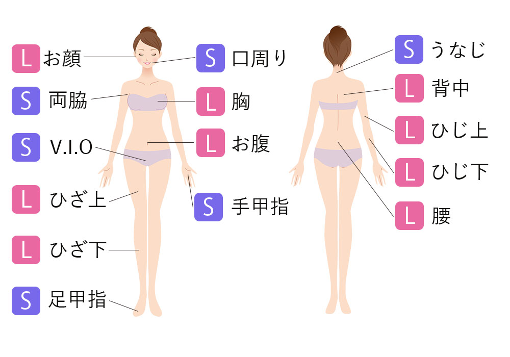 女性部位